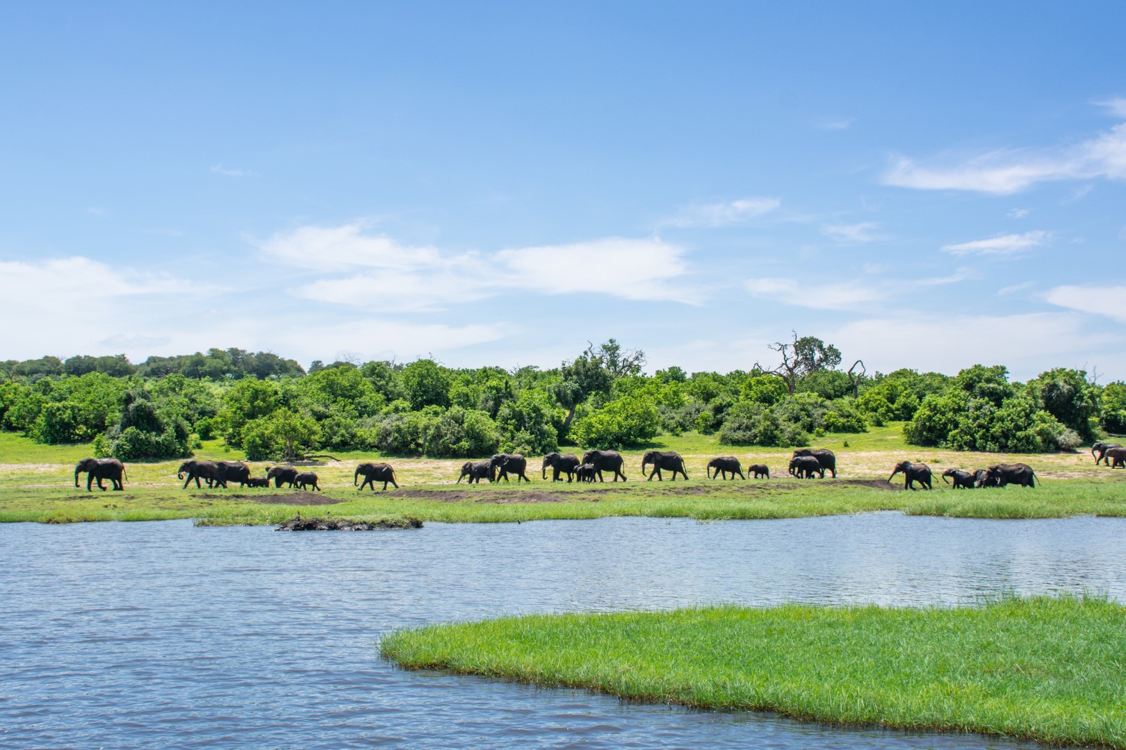 Chobe Safari Lodge - Image 14